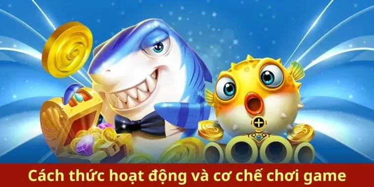 Cách Chơi Bắn Cá Royal Fishing Tại 6623 Hiệu Quả, Thắng Lớn Dễ Dàng