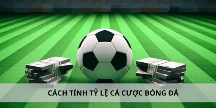 Tìm Hiểu Cá Cược Bóng Đá 6623: Cơ Hội Thắng Lớn Mỗi Trận