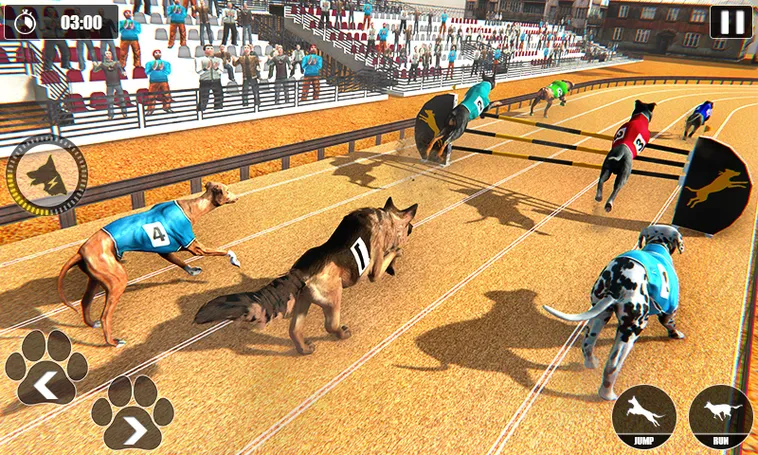Cách Chơi Game Nhanh Đua Chó Tại 6623: Bí Kíp Thắng Cược Hấp Dẫn