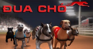 Cách Chơi Game Nhanh Đua Chó Tại 6623: Bí Kíp Thắng Cược Hấp Dẫn